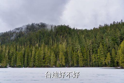 臺(tái)迪好不好