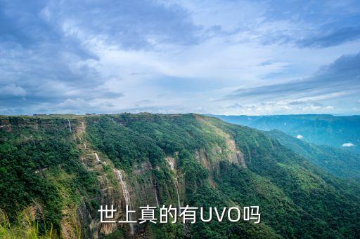 世上真的有UVO嗎