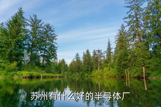 蘇州有什么好的半導(dǎo)體廠