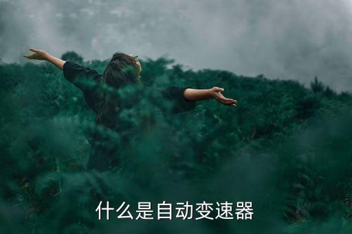 自動(dòng)變速箱，自動(dòng)變速器都有哪些