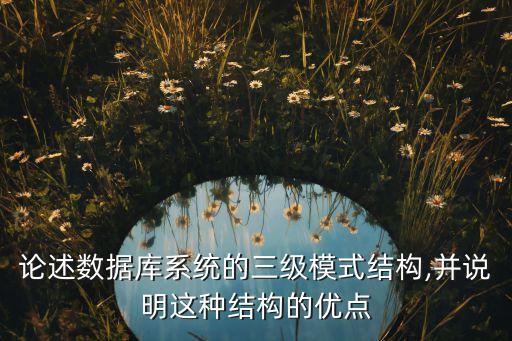 論述數(shù)據(jù)庫系統(tǒng)的三級模式結構,并說明這種結構的優(yōu)點