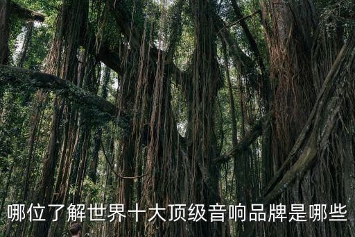 哪位了解世界十大頂級音響品牌是哪些