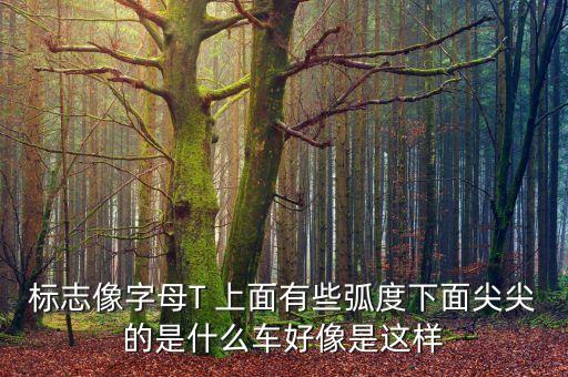 標(biāo)志像字母T 上面有些弧度下面尖尖的是什么車好像是這樣