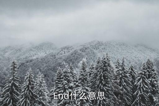 End什么意思