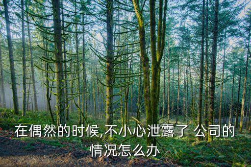 在偶然的時(shí)候,不小心泄露了 公司的情況怎么辦