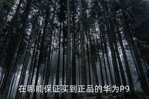 華為智能生活館，昆明世紀城哪里有專業(yè)手機家電維修和數(shù)碼產(chǎn)品銷售的
