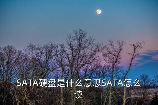 SATA硬盤是什么意思SATA怎么讀