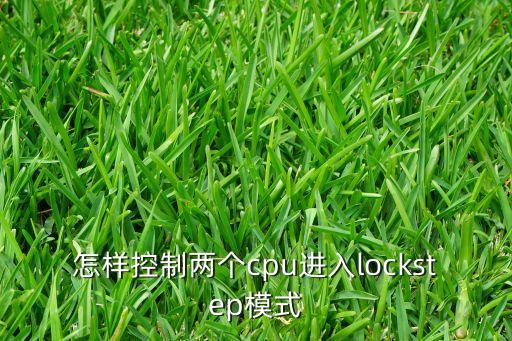 怎樣控制兩個(gè)cpu進(jìn)入lockstep模式