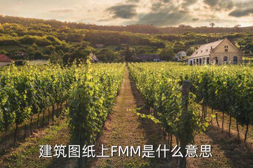 fmm，建筑圖紙上FMM是什么意思