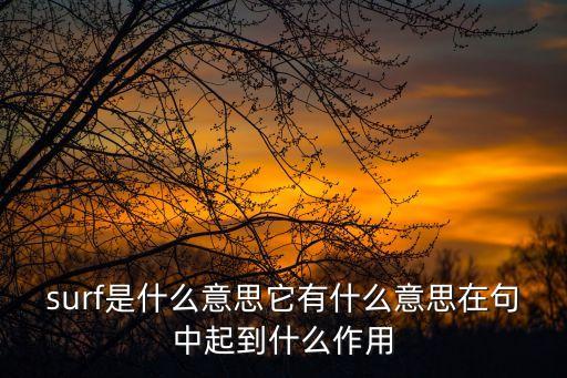 surf是什么意思它有什么意思在句中起到什么作用