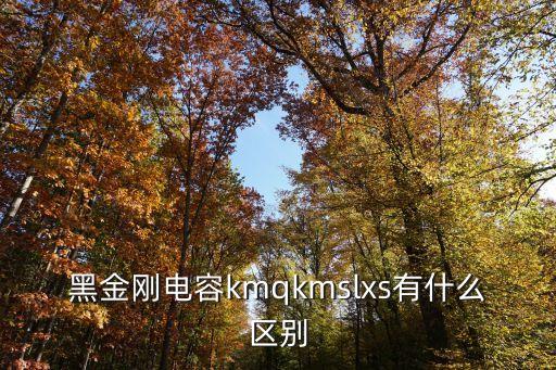 黑金剛電容kmqkmslxs有什么區(qū)別