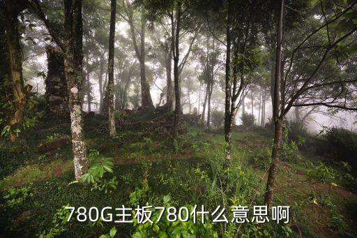 780G主板780什么意思啊