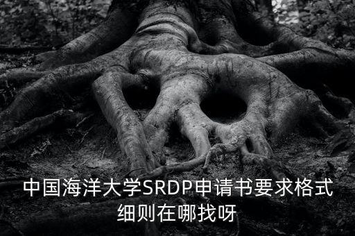 SRDP，中國海洋大學(xué)SRDP申請(qǐng)書要求格式細(xì)則在哪找呀