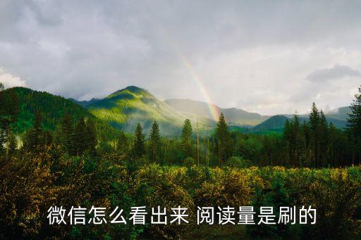 微信怎么看出來(lái) 閱讀量是刷的