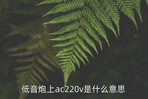 ac220，變壓器AC220VDC9V是什么意思