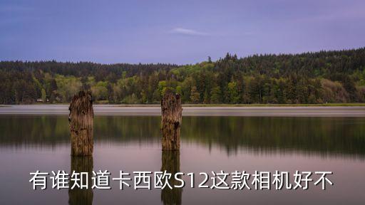 有誰知道卡西歐S12這款相機(jī)好不