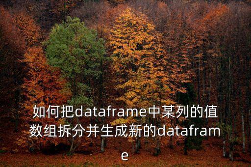 如何把dataframe中某列的值數(shù)組拆分并生成新的dataframe