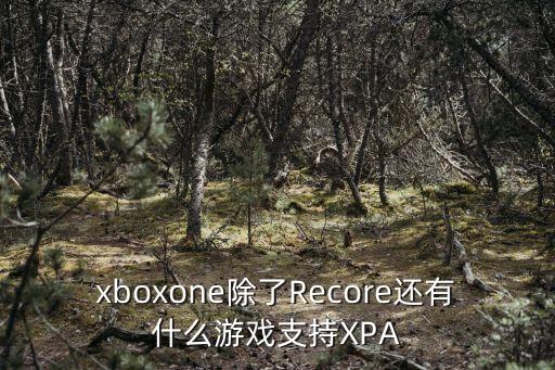 xboxone除了Recore還有什么游戲支持XPA