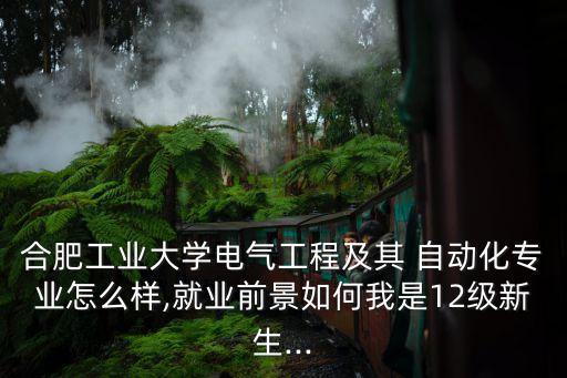 合肥工業(yè)大學電氣工程及其 自動化專業(yè)怎么樣,就業(yè)前景如何我是12級新生...