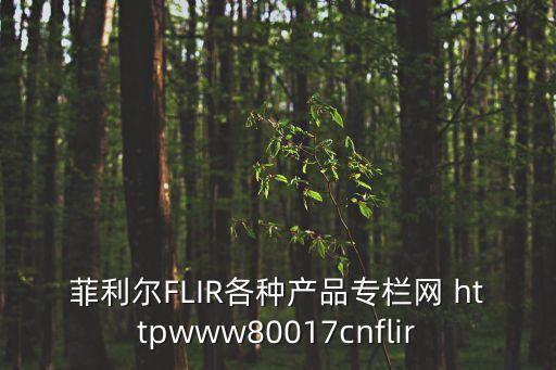 菲利爾，拳皇這是什么人物