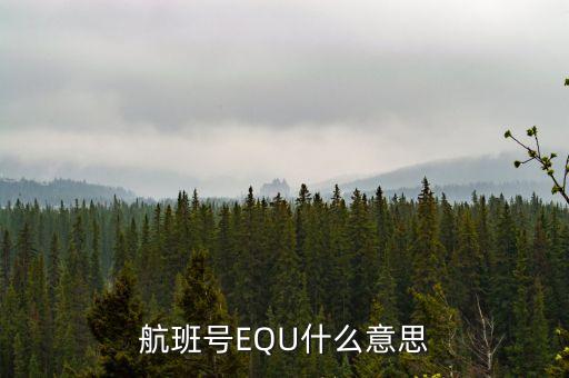 equ，航班號EQU什么意思