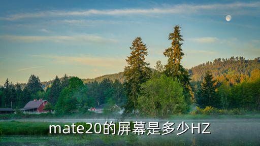 mate20屏幕，mate20的屏幕是多少HZ