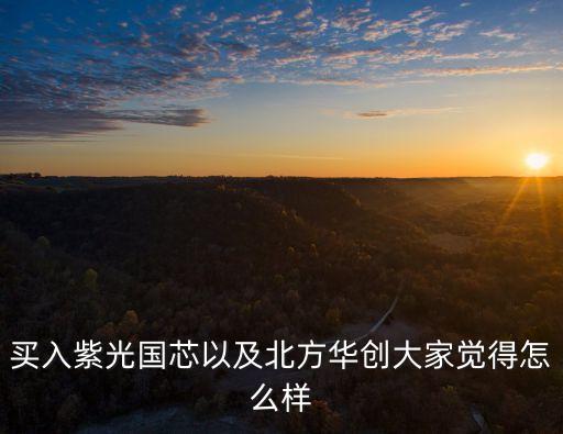 紫光國芯，大哥這和紫光國芯有什么關(guān)系