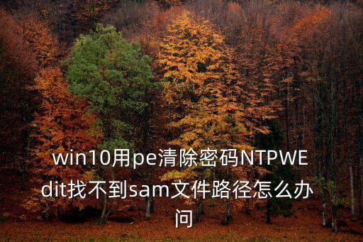 ntpwedit，ntpwedit 解鎖是什么意思