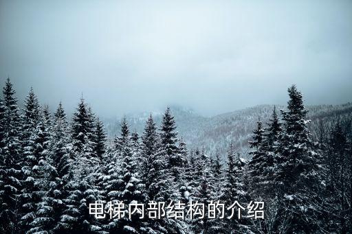 電梯結(jié)構(gòu)，電梯由哪幾大部分組成