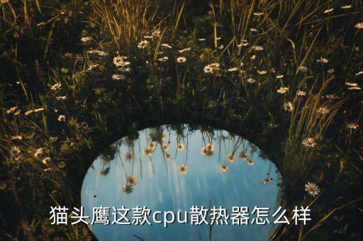 貓頭鷹這款cpu散熱器怎么樣