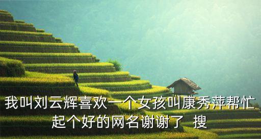 我叫劉云輝喜歡一個女孩叫康秀萍幫忙起個好的網(wǎng)名謝謝了  搜