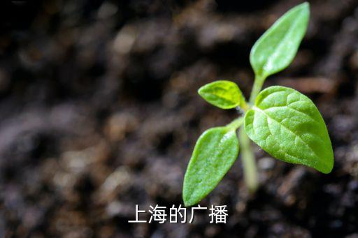 上海電臺，上海廣播電臺有哪些是可以聽故事的FM