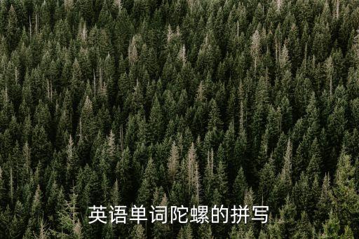 gyro，陀螺的英文怎么講