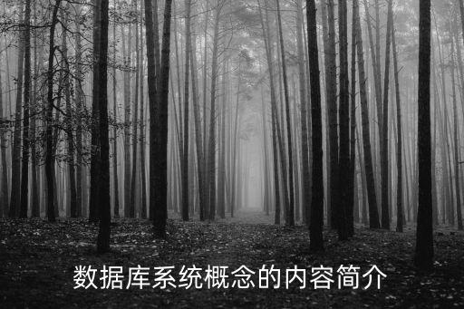 數(shù)據(jù)庫(kù)系統(tǒng)概念的內(nèi)容簡(jiǎn)介