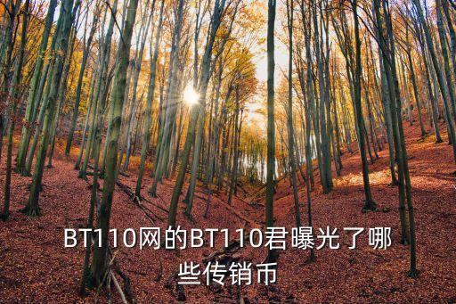 BT110網(wǎng)的BT110君曝光了哪些傳銷幣