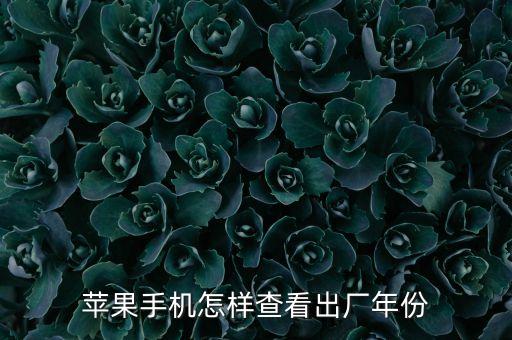 蘋果手機(jī)怎樣查看出廠年份