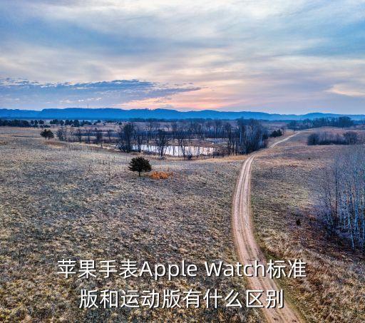 蘋果手表對比，蘋果智能手表買哪個版本好