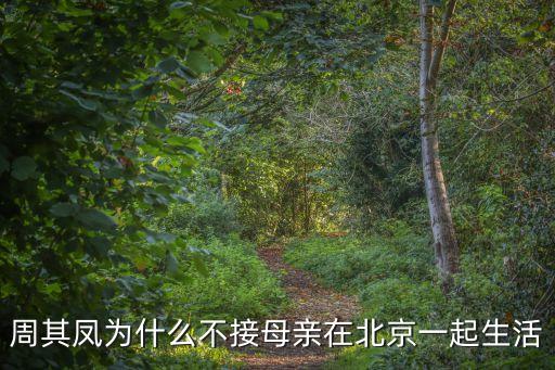 周其鳳為什么不接母親在北京一起生活