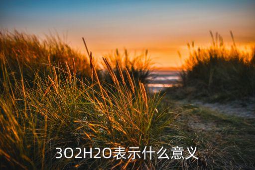 3O2H2O表示什么意義