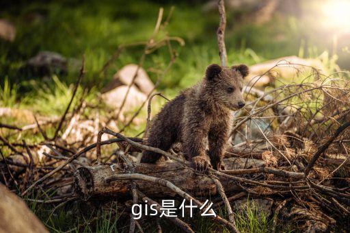 gis是什么