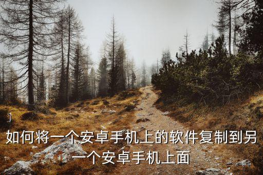 如何將一個(gè)安卓手機(jī)上的軟件復(fù)制到另一個(gè)安卓手機(jī)上面