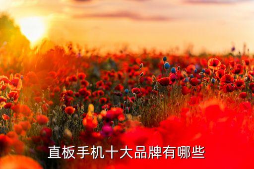 中關(guān)村手機(jī)排行榜，直板手機(jī)十大品牌有哪些