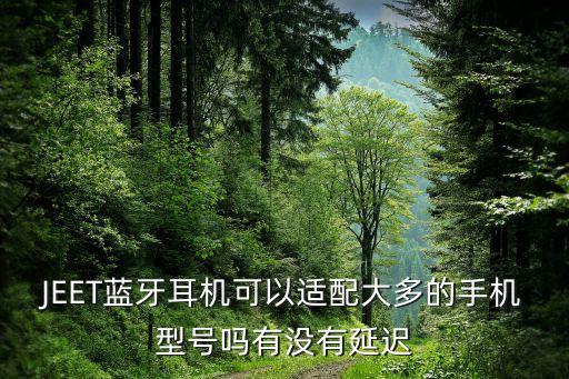 JEET藍(lán)牙耳機(jī)可以適配大多的手機(jī)型號(hào)嗎有沒(méi)有延遲