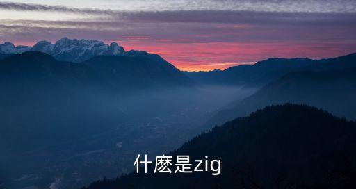 什麼是zig
