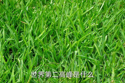世界第二高峰是什么