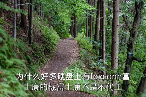 為什么好多硬盤上有foxconn富士康的標(biāo)富士康不是不代工