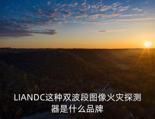 LIANDC這種雙波段圖像火災探測器是什么品牌