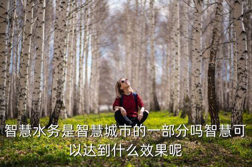 智慧水務(wù)，智慧水務(wù)的污水處理技術(shù)怎么樣