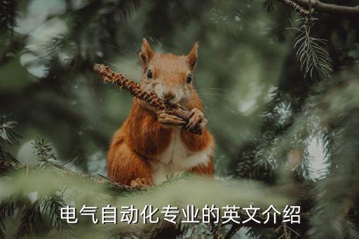 自動(dòng)化專(zhuān)業(yè)英語(yǔ)技術(shù)詞,自動(dòng)化專(zhuān)業(yè)英語(yǔ)如何用英語(yǔ)介紹?