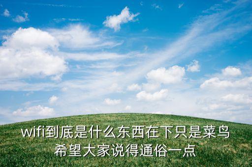 wifi到底是什么東西在下只是菜鳥(niǎo)希望大家說(shuō)得通俗一點(diǎn)